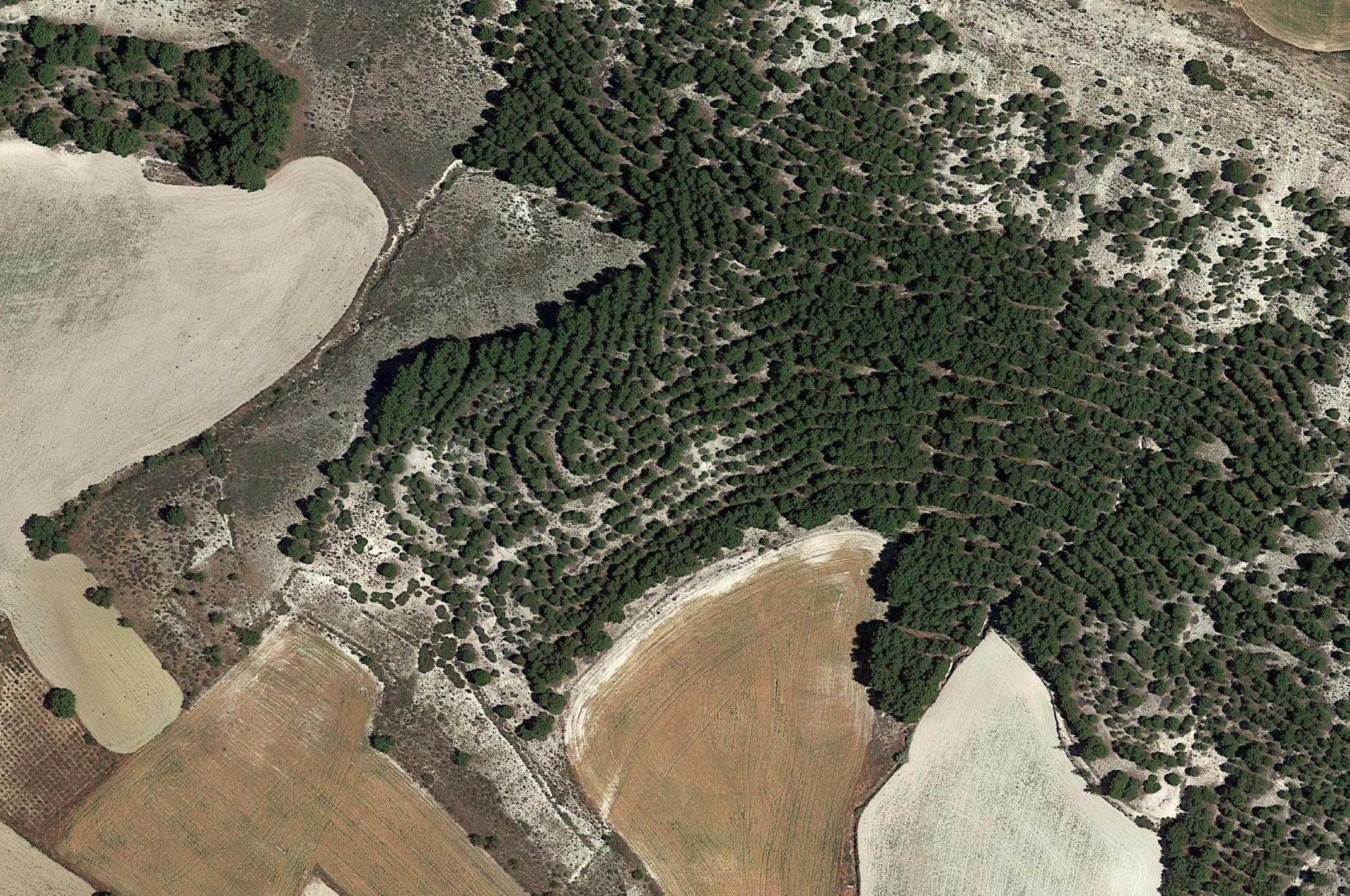Satellite view of forests in Castilla y Leon
