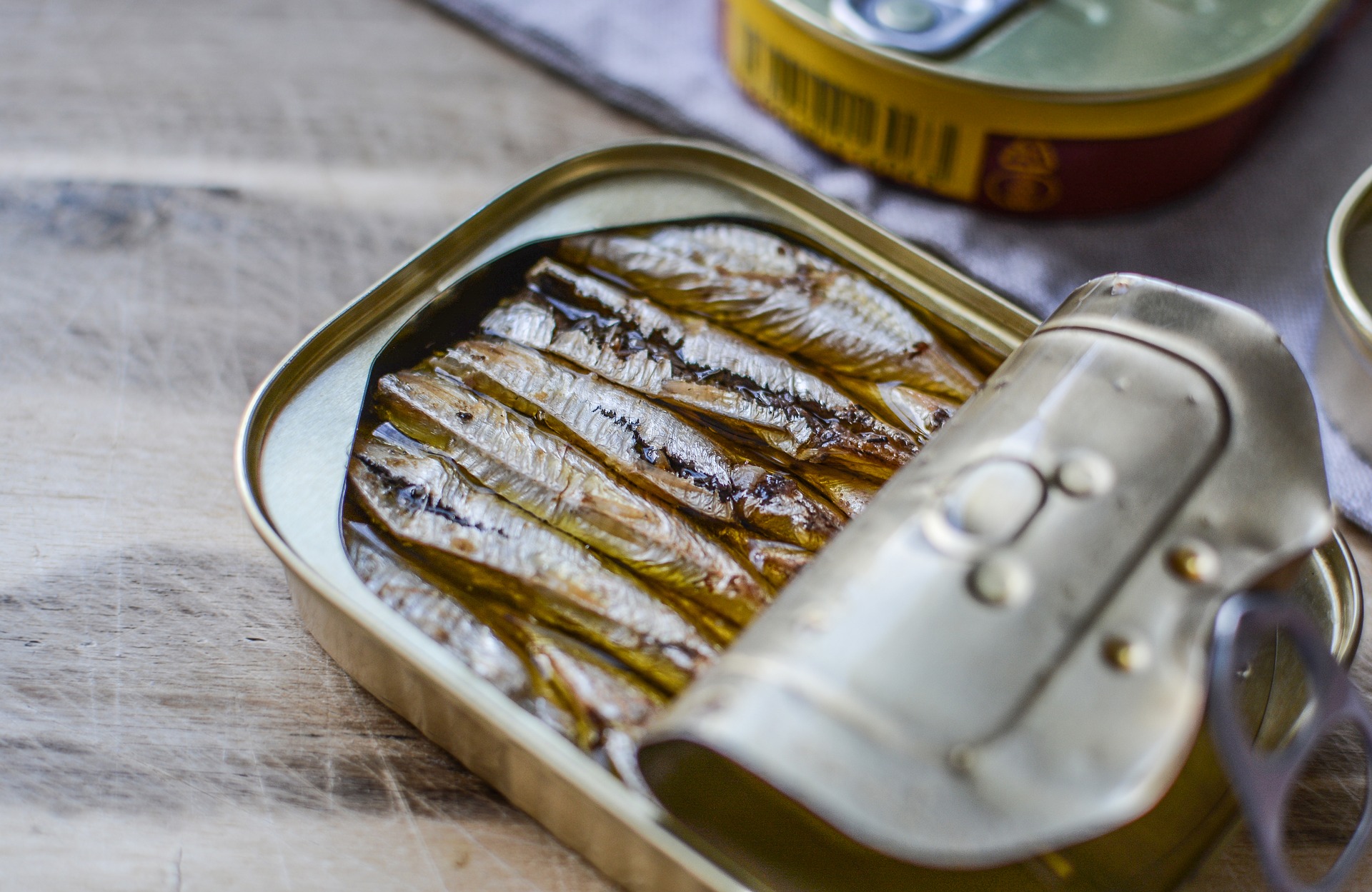 Can of fish