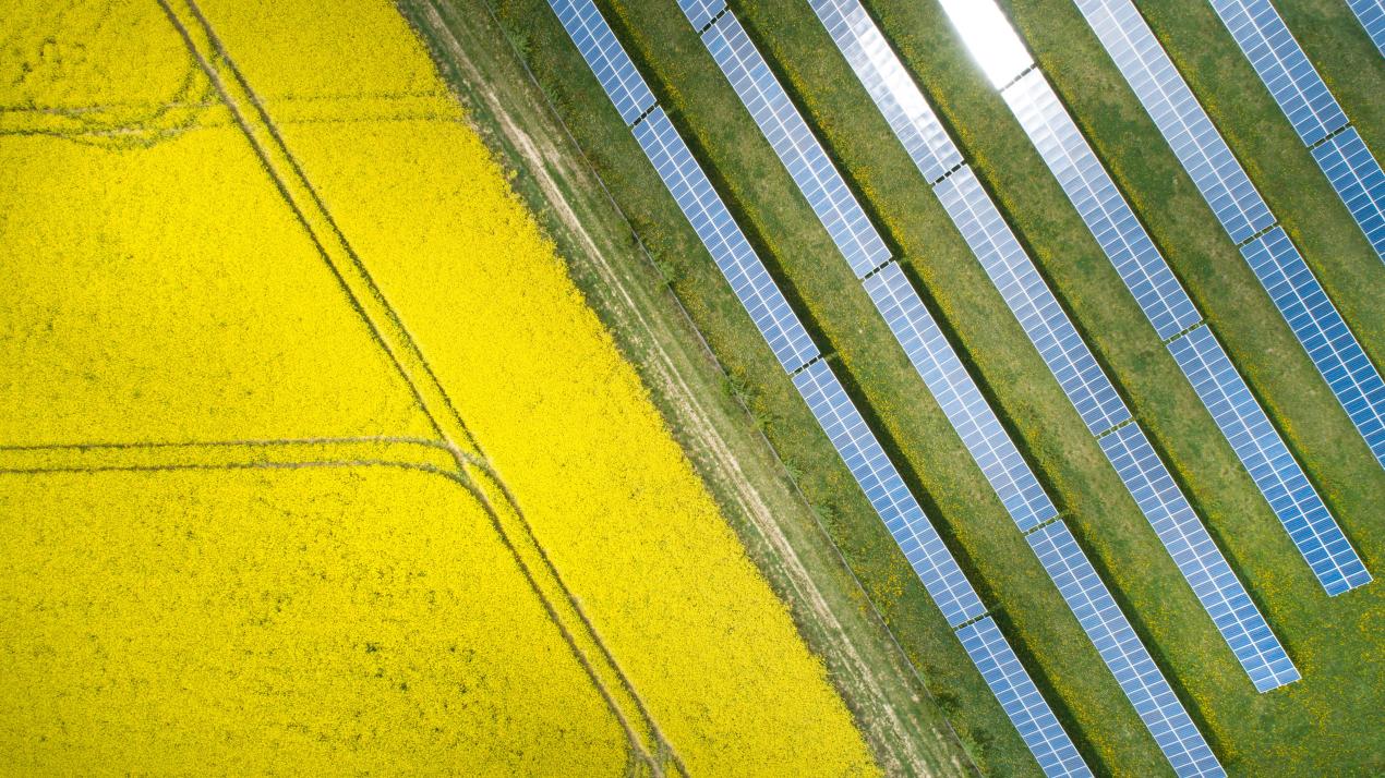 A top down view of a farm field with solar panels.