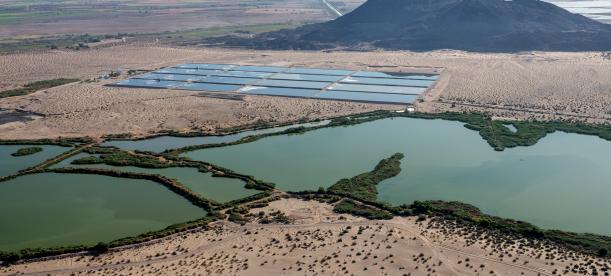 Aerial view of the Las Arenitas treatment wetland in a desert landscape, featuring large reflective treatment ponds, green wetland basins, and surrounding sandy terrain with mountains in the background.