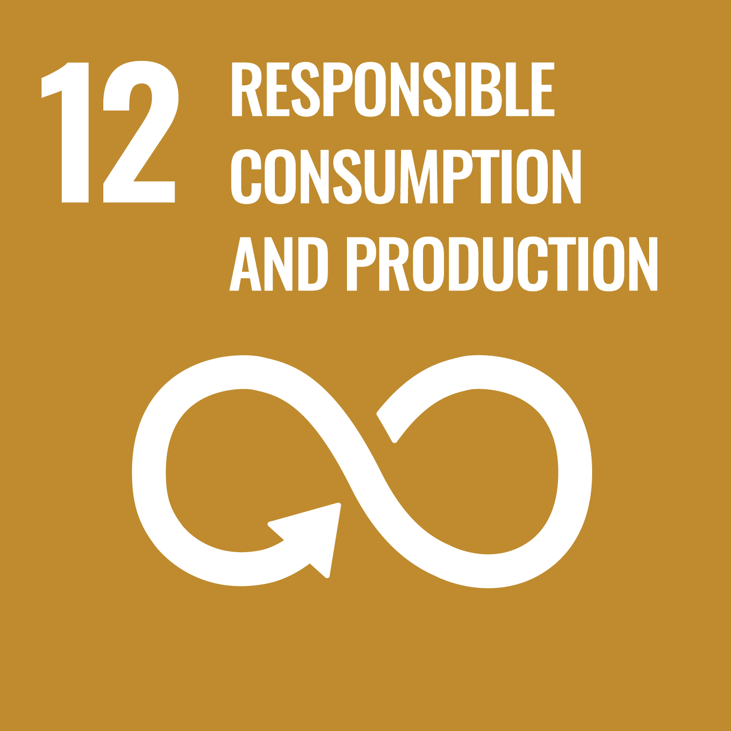 An icon for UN SDG #12 - Responsible Consumption and Production. It depicts an infinity symbol with an arrow against a brown background.
