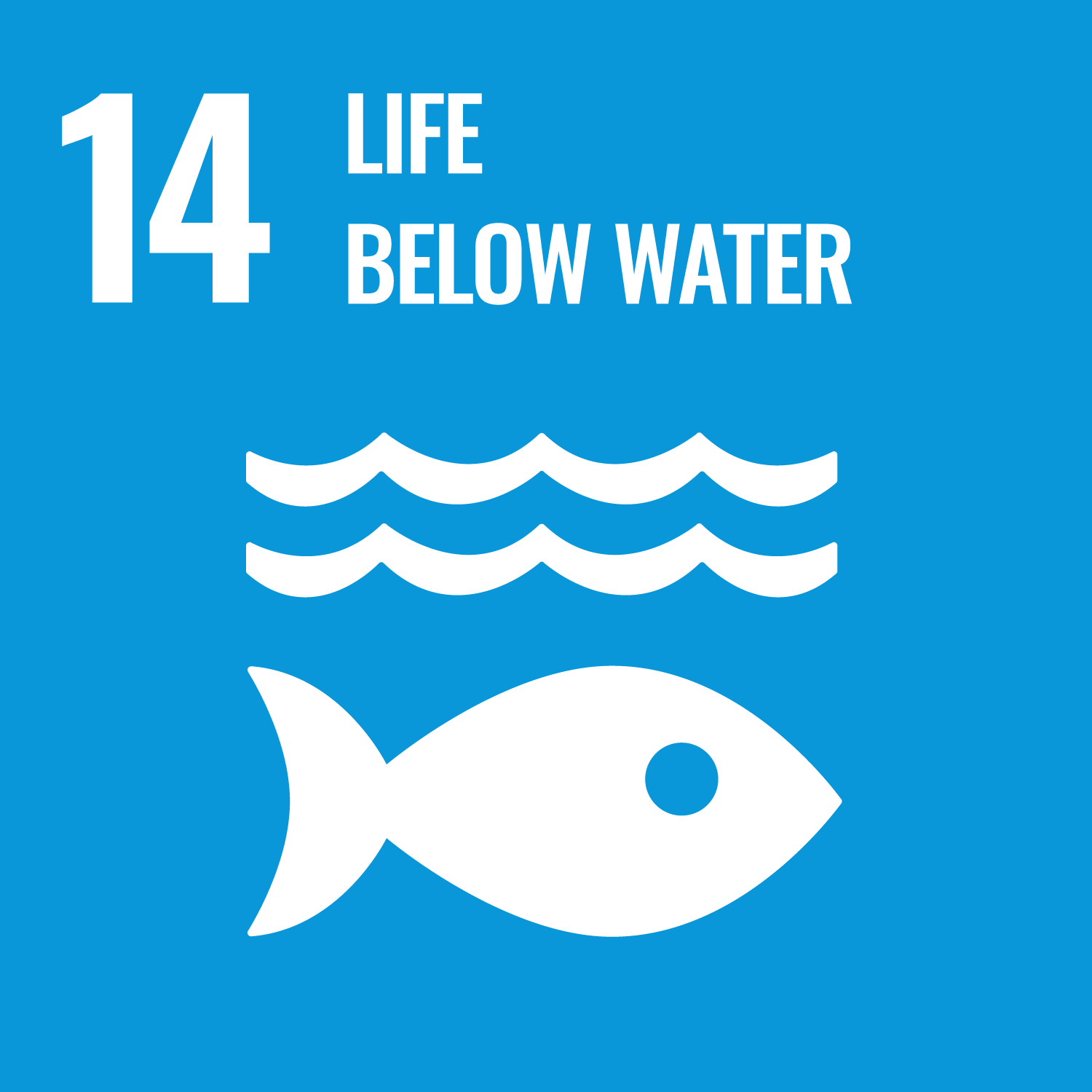 An icon of UN SDG #14 - Life Below Water. It depicts a fish underneath water lines against a blue background.