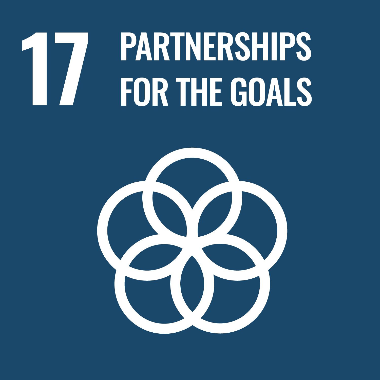 An icon of UN SDG #17 - Partnerships for the Goals. It depicts 5 circles overlaying each other against a dark blue background.