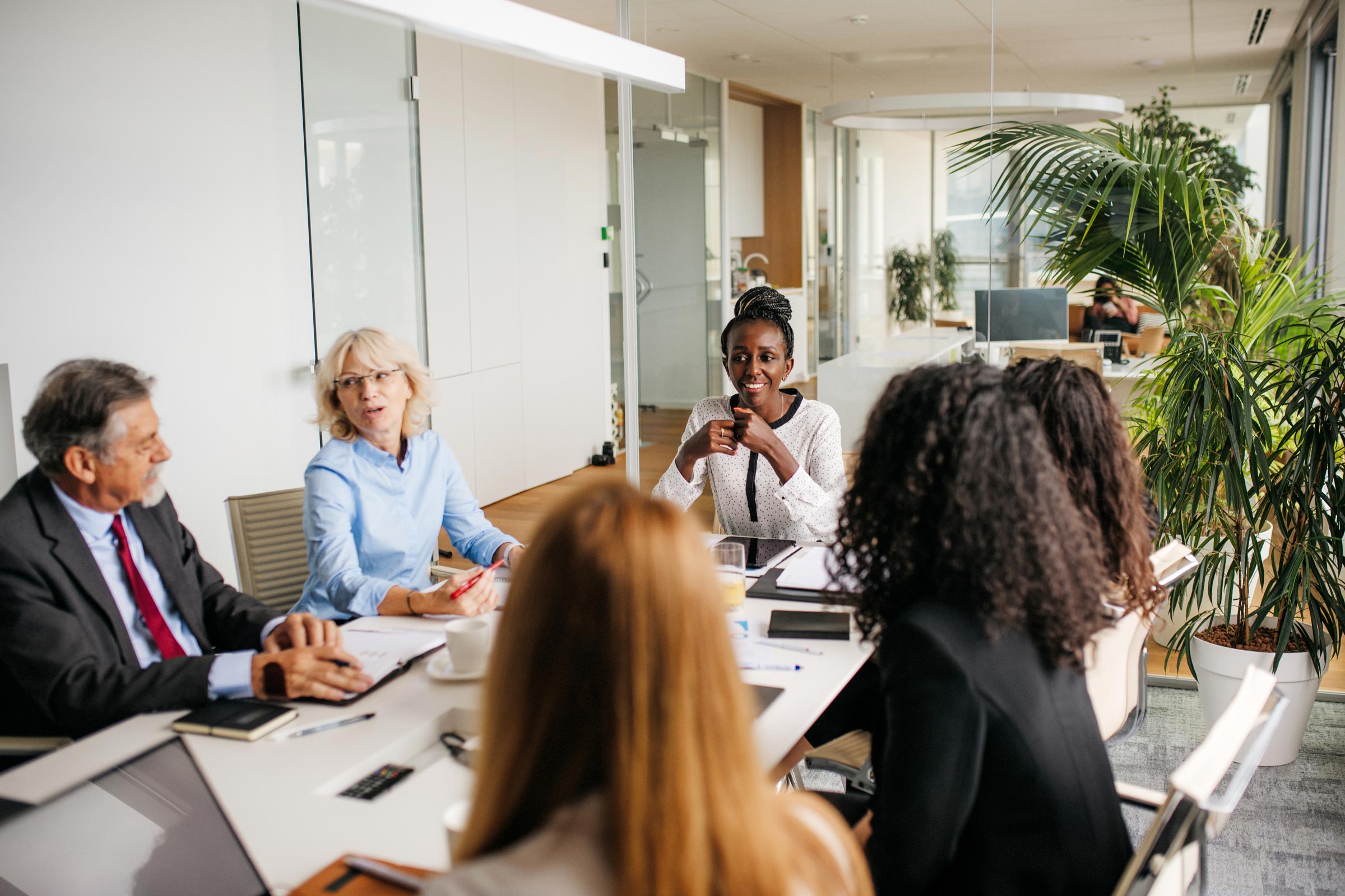 A diverse group of people in suits sitting around a conference table