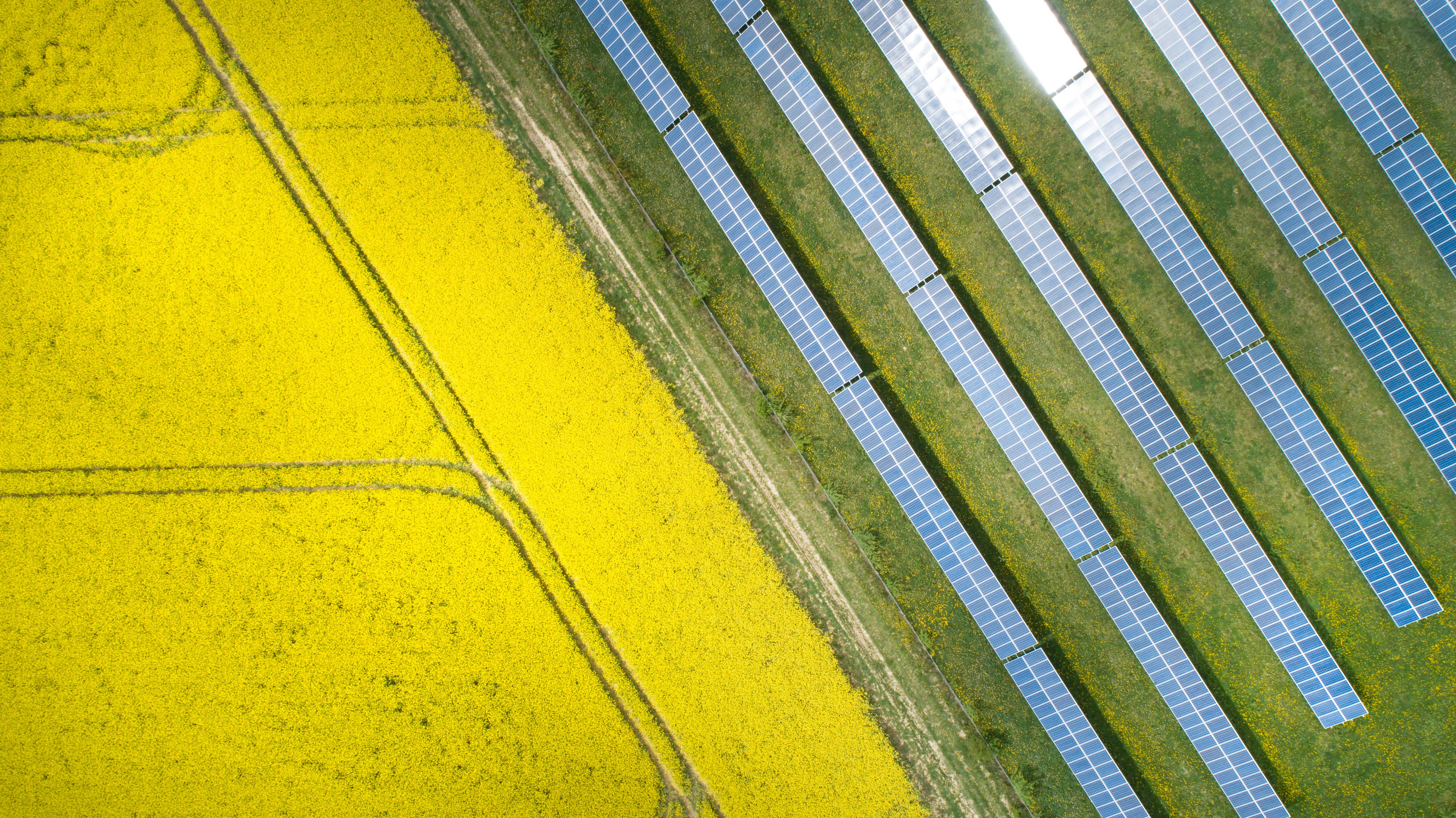 A top down view of a farm field with solar panels.